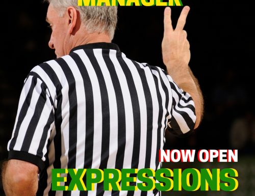 Referee Development Manager – expressions of interest